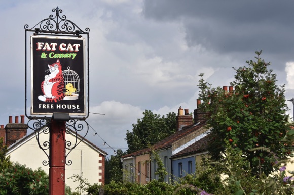 Fat Cat & Canary pub/Matt Walker