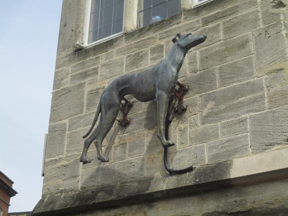 Greyhound/Peterjon Cresswell