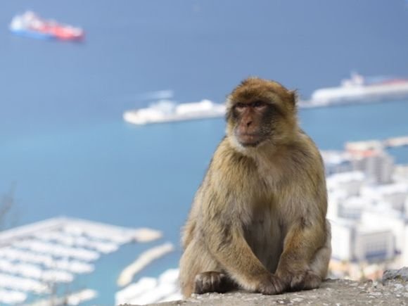 Welcome to Gibraltar/Matt Walker