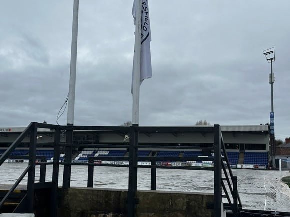 Moss Rose/Joe Stubley