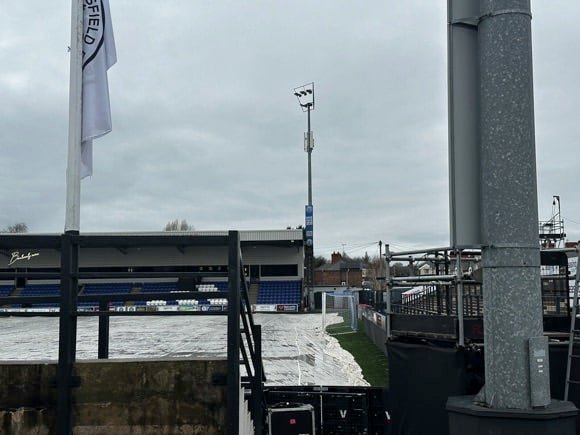 Moss Rose/Joe Stubley