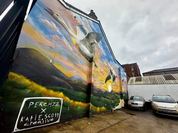 Welcome to Macclesfield/Joe Stubley