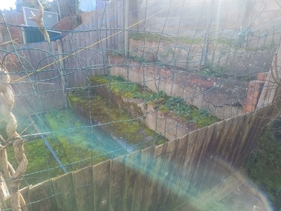 The original North Bank: Remains of terracing from the early 1890s/Brian Mulligan