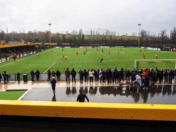 Flamingo Park/Brian Aldrich