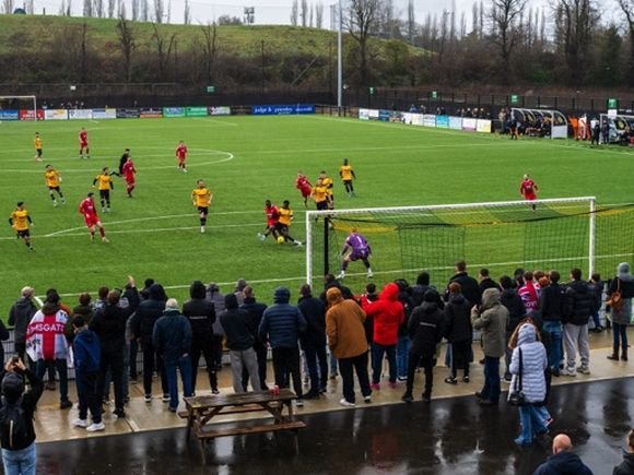 Flamingo Park/Brian Aldrich