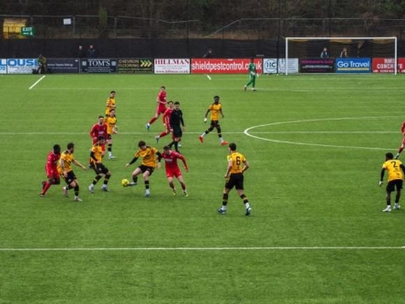 Flamingo Park/Brian Aldrich