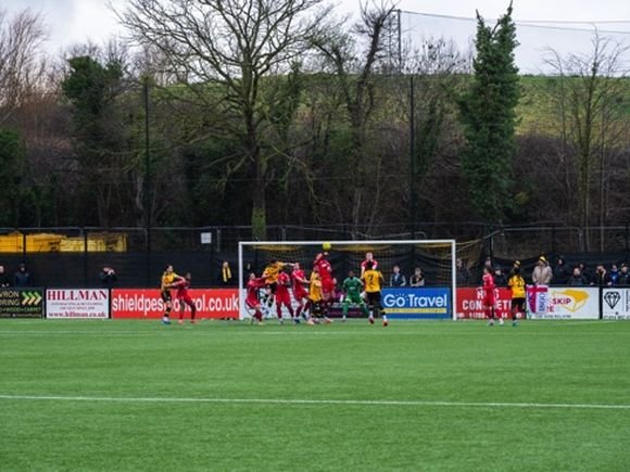 Flamingo Park/Brian Aldrich