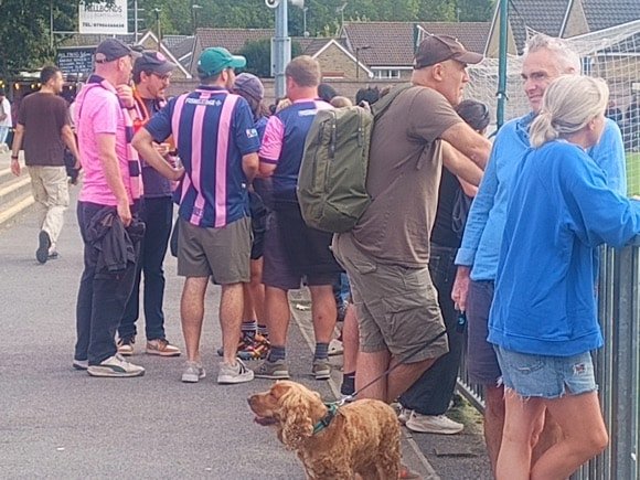 Match day, Dulwich Hamlet/Brian Mulligan