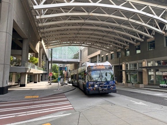 Seattle buses/Anatol Steck