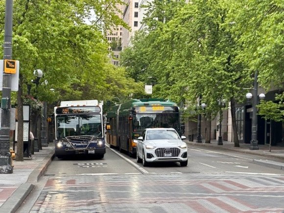 Seattle buses/Anatol Steck