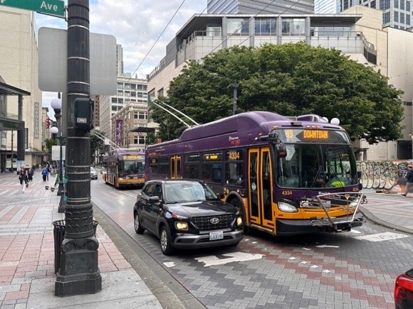 Seattle buses/Anatol Steck